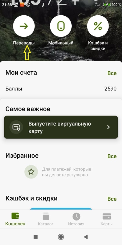 Screenshot_2021-02-14-21-38-26-178_ru.yoo.money.jpg